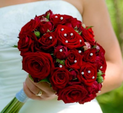 600x600_1264265601329-redrosewstephan.jpg
