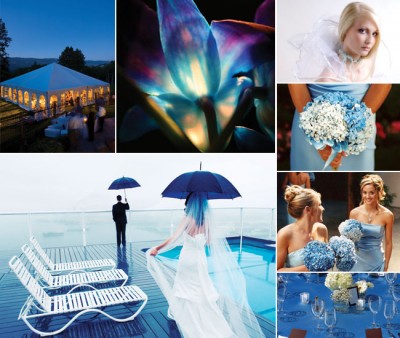 blue-734789.jpg