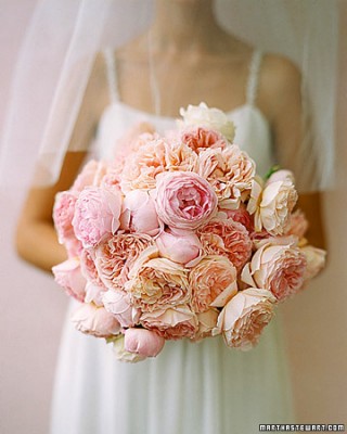 image-62.jpg