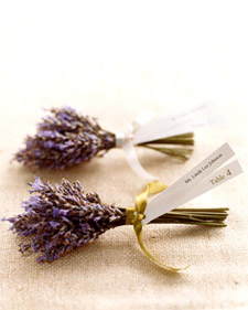 wa101753_sum06_lavendersc_l_148.jpg