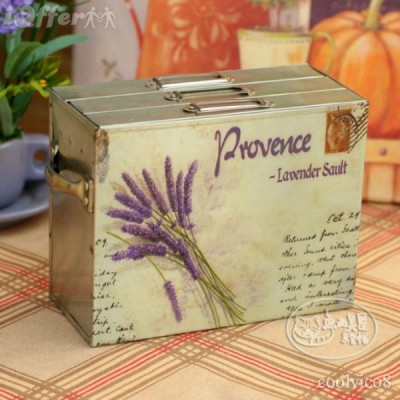 84094411_large_lavenderhomedecoratingideas52.jpg
