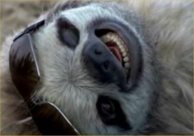 alfa-romeo-sloth.jpg