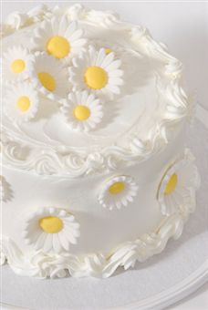 tort(4).jpg