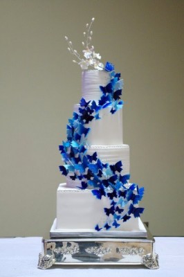 chrystal b-s.l.ss.butterfly wedding.jpg