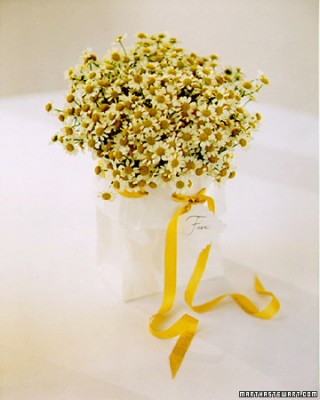 yellow_wht_bouquet_spr96_xl.jpg
