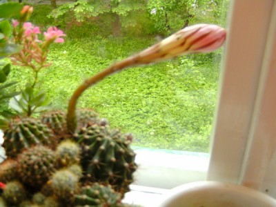 BILD2853.JPG