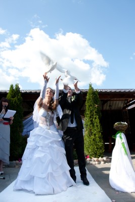 IMG_3010_web.jpg