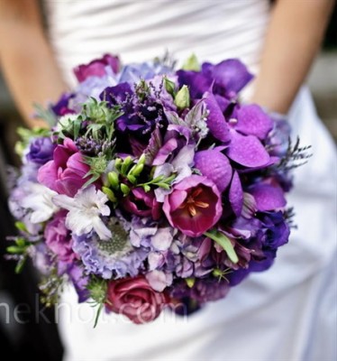 Image475x4752.jpg