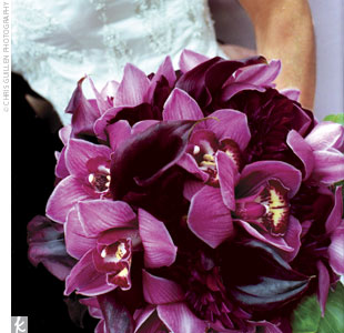large_image3.jpg
