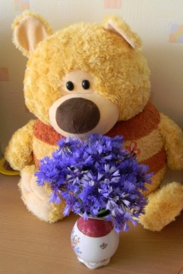 DSCN5216.JPG