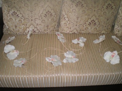 IMGP2544.JPG