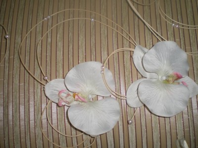 IMGP2545.JPG