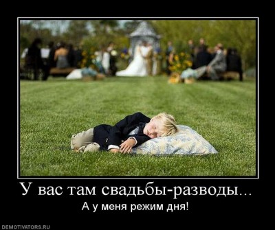 416722_u-vas-tam-svadbyi-razvodyi.jpg