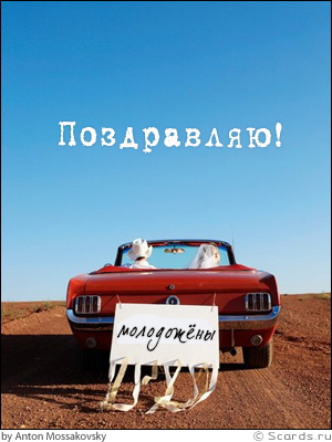 143498868.jpg