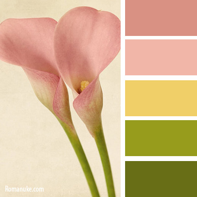 in_color_balance_191.jpg