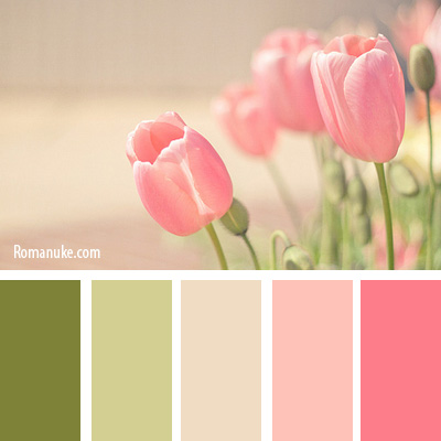 in_color_balance_69.jpg