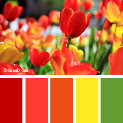 in_color_balance_66.jpg