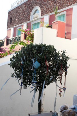IMG_8047.jpg