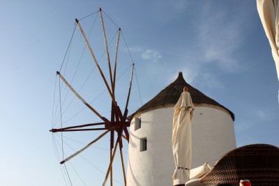 IMG_7982.jpg