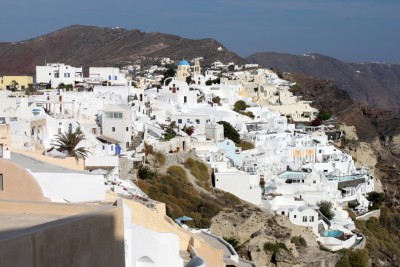 IMG_7920.jpg