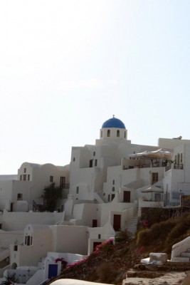IMG_7895.jpg