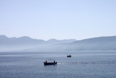 IMG_7433.jpg