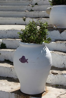 IMG_7428.jpg