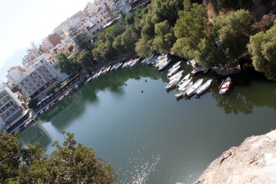 IMG_7392.jpg