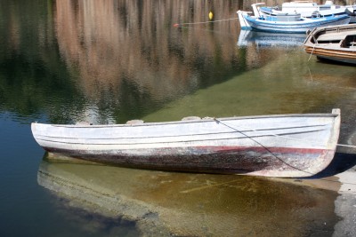 IMG_7359.jpg