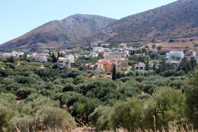 IMG_6500.jpg