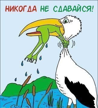 AUeFZiKgkKo.jpg
