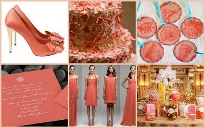 coral_collage.jpg