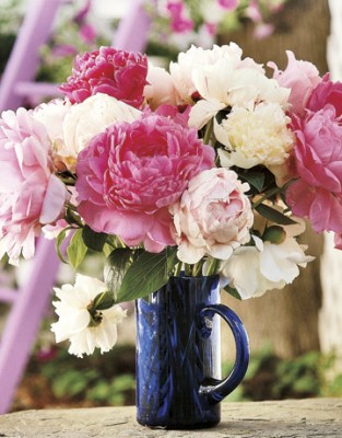 peonies2.jpg