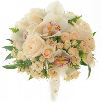 500x570x0x0x95_0abe3d91206ce0d4a6db2b0586905a41.jpg