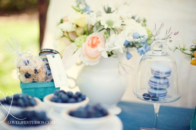 blueberry-styled-shoot-016.jpg