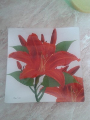 20130617_090818.jpg