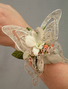 gallery_22706_395_43057.jpg