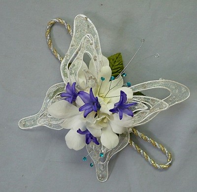 gallery_22706_395_50605.jpg