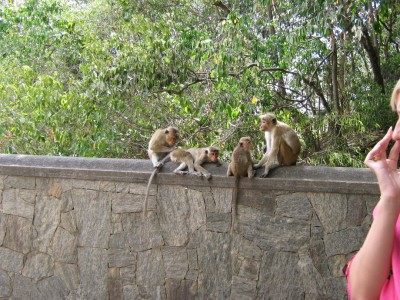 IMG_2864.jpg