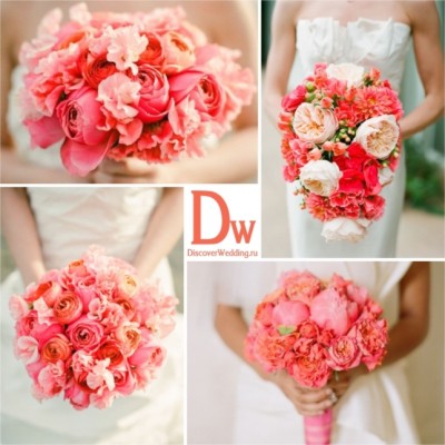 Coral_wedding_04.jpg