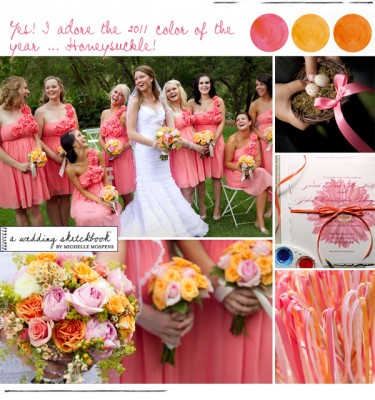 92539_honeysuckle-pink-coral-rose-orange-gold-yellow1.jpg