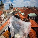 Чехия - Свадьба с европейским акцентом