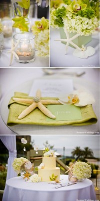 Details-starfish-beach-wedding.jpg