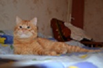 DSC_0033.JPG