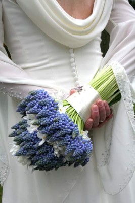 mainimage04.jpg