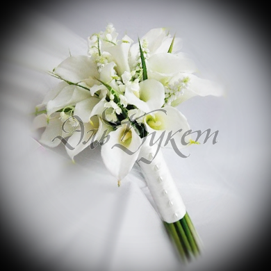 e81bf9ed040e8a92821ce2d8d8278790.png