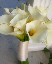 spec_1263404726_gallery-callas2.jpg