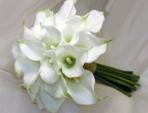 spec_1263405742_bouquet2lv8.jpg