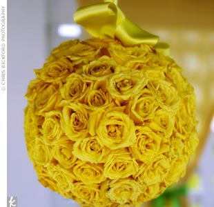 yellow-rose.jpg