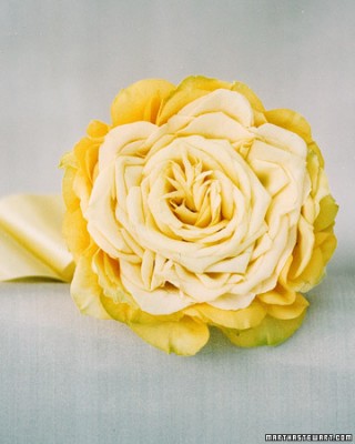 a99761_win03_crosebride1_xl.jpg